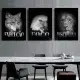 تابلوی صورت حیوانات T482